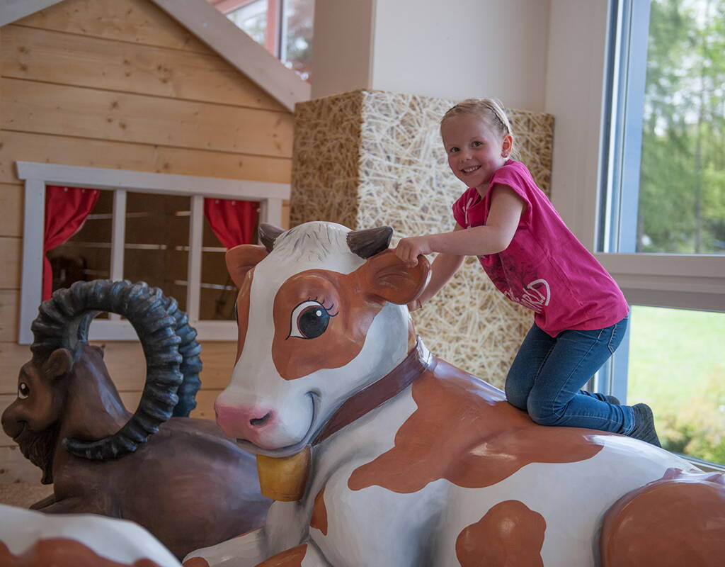 Der Appenzeller Park zählt mit seinen 2'300 m2 Fläche zu den schweizweit grössten Indoorspielplätzen. Du findest hier ein gigantisches Angebot an hochwertigen Spielgeräten, welches bisher Bekanntes übertrifft. Profitiere von unserem Gratisjeton-Angebot und tobe dich im Appenzellerpark aus.