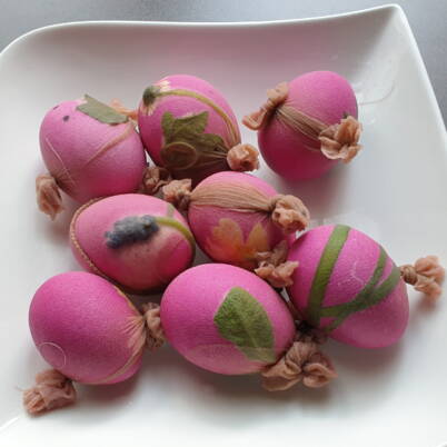 Frisch gefärbte Ostereier in Pink mit zarten Pflanzenabdrücken liegen auf einem Teller und müssen noch ausgepackt werden
