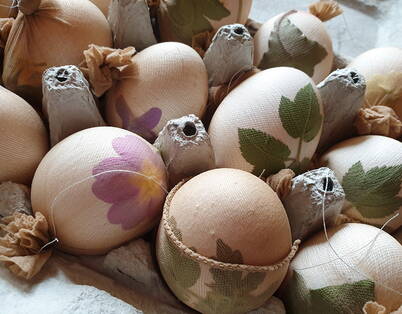 Plusieurs œufs recouverts de feuilles ou de fleurs et enveloppés fermement dans du tissu ou des bas en nylon, fixés avec du fil.