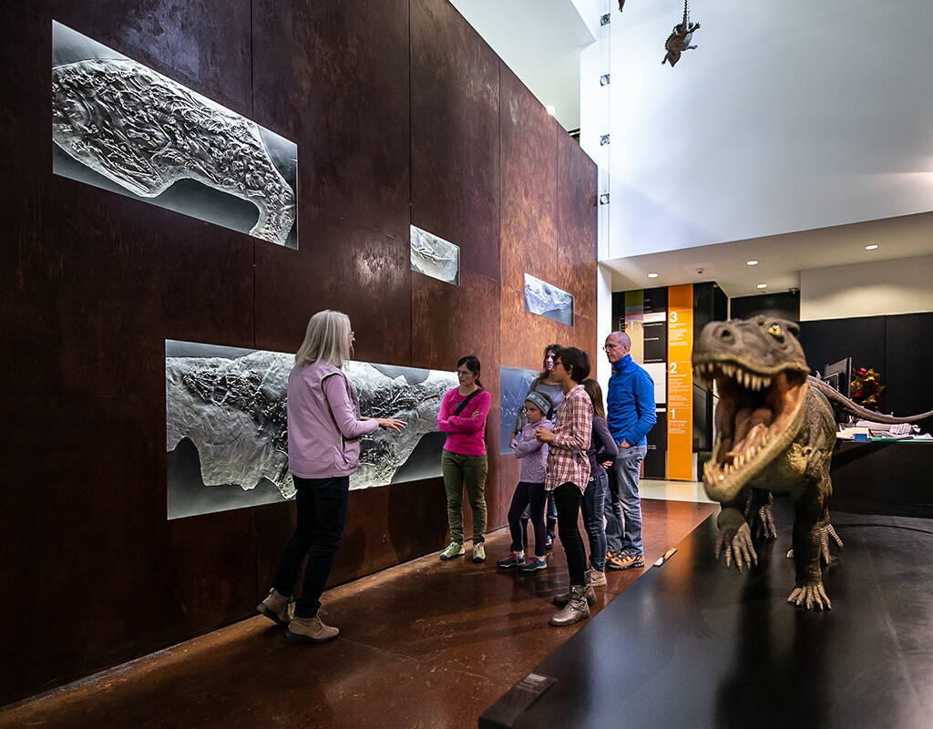 A Meride scoprirete che la nostra casa soleggiata un tempo aveva accesso al mare. Un Ticinosuchus lungo 2 metri e mezzo vi dà il benvenuto e vi invita a esplorare l'affascinante collezione di fossili del Monte San Giorgio su quattro piani. Scaricate il nostro buono sconto ed entrate nel mondo delle specie animali e vegetali estinte da tempo.