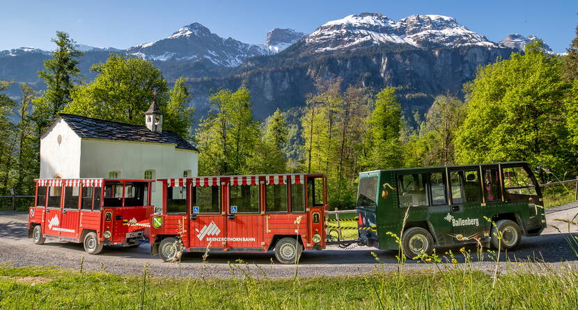 Die Ballenberg-Bahn hält an drei Stationen und ist im Preis inbegriffen.