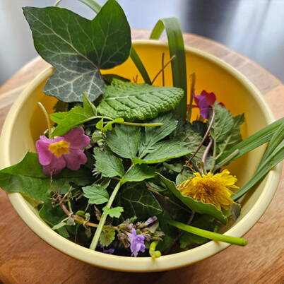 Eine gelbe Schüssel gefüllt mit verschiedenen frischen Blättern und bunten Blüten, die beim natürlichen Ostereierfärben Muster erzeugen.