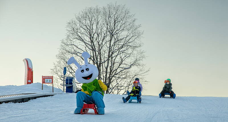 Mascotte allegra e bambini che fanno slittino sulla pista preparata della Bodmi Arena a Grindelwald. Divertimento invernale adatto alle famiglie per grandi e piccoli nell'Oberland bernese.