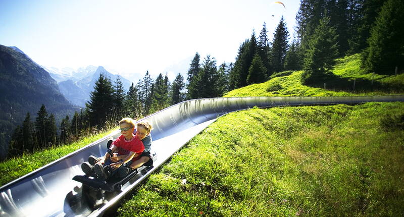 Destinazioni delle escursioni Berna – Gita in famiglia sulla pista da slittino estiva del lago di Oeschinen. Un'attrazione per grandi e piccini: da soli o in coppia, è semplicemente divertente!