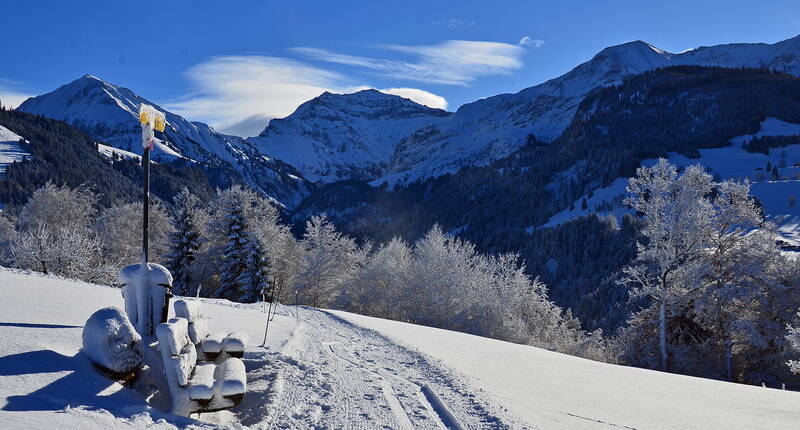 Familienausflug Winterwandern Aeschi. Über 20 km gespurte/präparierte und signalisierte Winterwanderwege mit herrlicher Aussicht stehen in und um Aeschi zur Verfügung. Zahlreiche Restaurants laden unterwegs zum Aufwärmen ein.