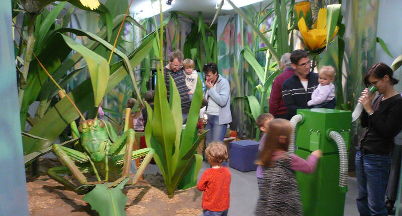 Ausflugsziele Mittelland - Familienausflug Naturama Aarau. Durchstreife die kunstvoll nachgebildeten Lebensräume, wo Zwergmäuse durch die Auenlandschaft wuseln, Ameisen auf dem Waldboden krabbeln und Grillen im überdimensionierten Wiesendschungel zirpen. Eine Zeitreise – Vergangenheit, Gegenwart & Zukunft.