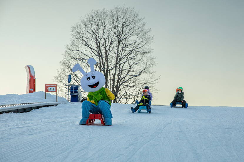 Divertimento con lo slittino alla Bodmi Arena Grindelwald con mascotte Mascotte allegra e bambini che fanno slittino sulla pista preparata della Bodmi Arena a Grindelwald. Divertimento invernale adatto alle famiglie per grandi e piccoli nell'Oberland bernese.