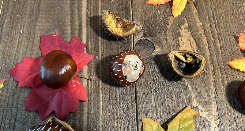 Idea fai-da-te - Facile fai-da-te: Riccio di castagne. Realizzate una bella decorazione autunnale con materiali naturali. 