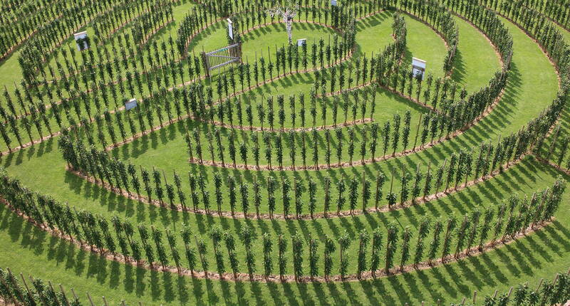 Excursion en famille à la ferme Jucker de Seegräben. Un labyrinthe de pommiers, un château de paille, un parc à chèvres et une aire de jeux naturelle. Selon la saison, de superbes expositions de citrouilles ou de paille ou des myrtilles et des cerises à cueillir soi-même.