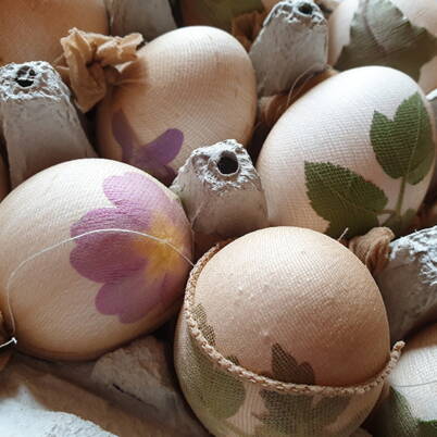 Mehrere Eier, dekoriert mit Blättern und Blüten und fest in Stoff oder Nylonstrümpfe eingewickelt, bereit zum Färben.