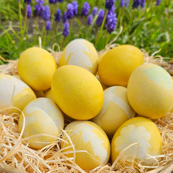 Plusieurs œufs de Pâques colorés naturellement en jaune avec du curcuma reposent dans un nid de paille. De fins motifs végétaux clairs décorent les coquilles. En arrière‑plan, on distingue des fleurs violettes dans une prairie verdoyante.
