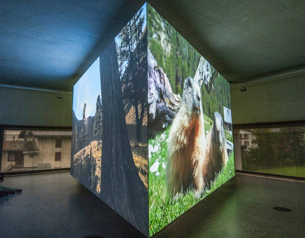 Gratiseintritt Nationalparkzentrum ZernezDas Nationalparkzentrum im bündnerischen Zernez bietet dir die Gelegenheit, die Natur hautnah zu erleben. Finde heraus, warum sich die Hirschgeweihe in den Ausstellungsräumen drehen, welche Geschichten dir die feinen Löcher in den ausgestellten Findlingen erzählen und was eine triMAGINAZIUN ist. 