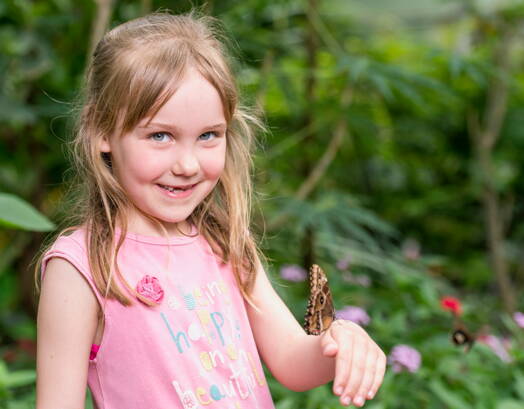 Un bambino osserva una farfalla da vicino in un mondo esperienziale – un’attività emozionante e conveniente per le famiglie in Svizzera, spesso con ingressi scontati.