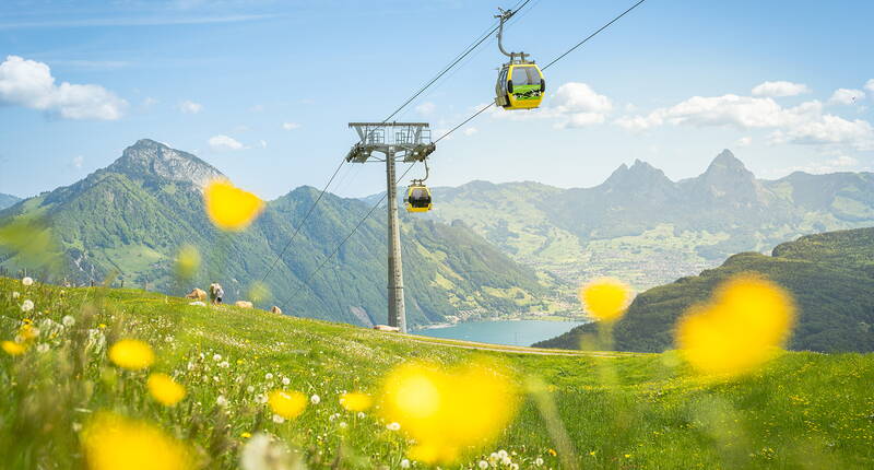 Die Seilbahn zur Klewenalp-Stockhütte fährt über grüne Hügel – perfekt für den Start in einen erlebnisreichen Tag in den Bergen.