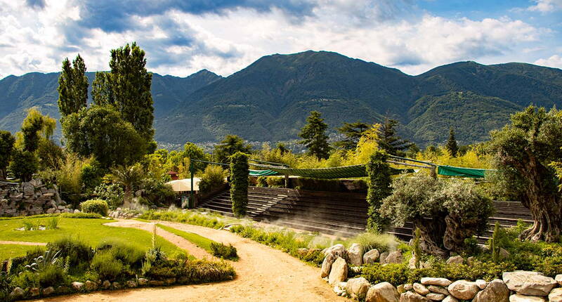 20 % de réduction sur les prix d'entrée de la Falconeria à Locarno – Découvre le monde fascinant des rapaces. Observe des faucons, des aigles, des hiboux, des vautours, des marabouts, des ibis chauves & des cigognes en vol libre & de très près. Que tu veuilles observer ou photographier, tout est possible.