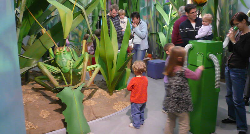 Excursion en famille au Naturama d'Aarau. Parcourez les habitats reconstitués avec art, où des souris naines s'agitent dans la plaine alluviale, des fourmis rampent sur le sol de la forêt et des grillons gazouillent dans la jungle surdimensionnée de la prairie. Un voyage dans le temps – passé, présent & futur.