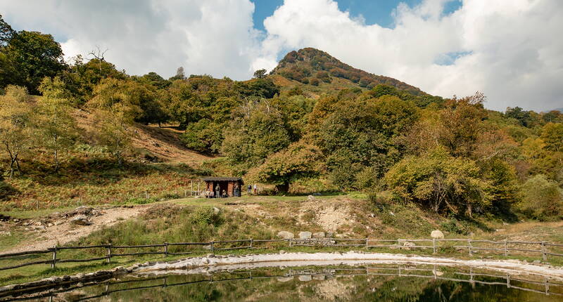 Familienwanderung Kastanienweg. Der Weg führt durch eine bezaubernde, harmonische Landschaft, in der die Natur ihren ganzen Reichtum entfaltet.