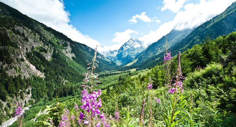 Spektakuläre Luftseilbahnen führen in den siebten Himmel und zu himmlischen Bergseen. In den malerisch gelegenen Gasthäuser und Hütten, bekannt für die Älplermagronen und weiteren urnerischen Spezialitäten, geniesst man seinen Aufenthalt mit einem herrlichen Blick in die Bergwelt.